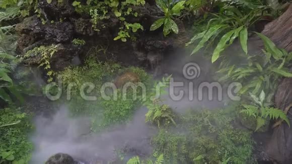 花园里的温泉水视频的预览图