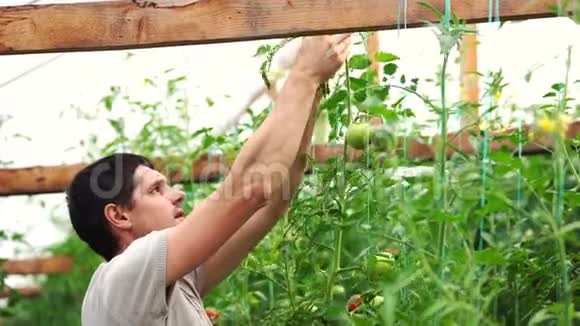 在菜园里工作的年轻人视频的预览图