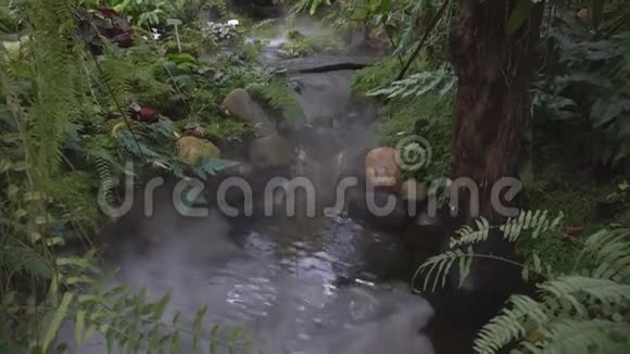 花园里的温泉水视频的预览图