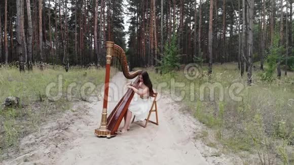 女竖琴演奏家在森林沙路演奏音乐会竖琴视频的预览图