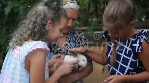 祖母和两个孙女手里拿着一只灰色的兔子女孩子有兴趣看看视频的预览图