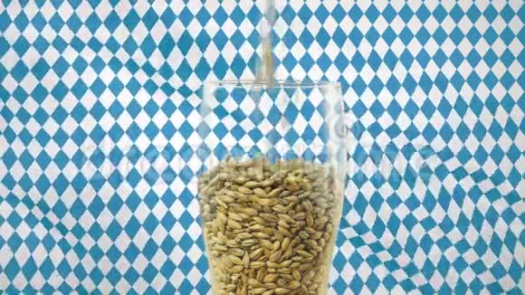 大麦麦芽用于制作深色和浅色的工艺啤酒自然概念和自然产品的创造如视频的预览图