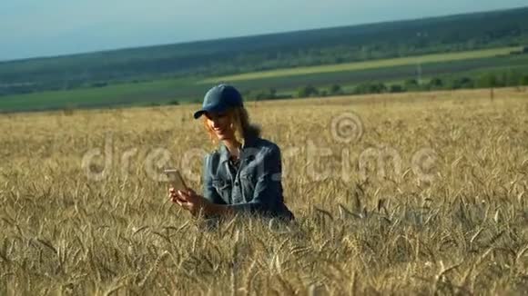 一个苗条的女人走在麦田上在阳光明媚的夏日在手机上拍照小穗视频的预览图