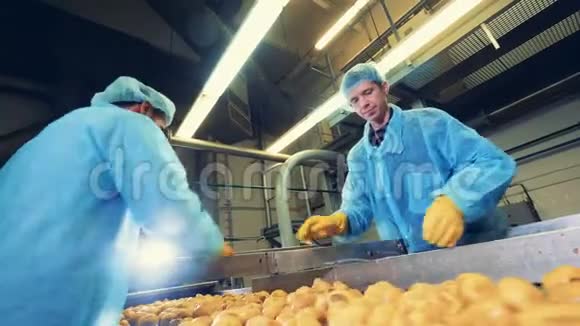 两名工厂员工正在切薯块视频的预览图