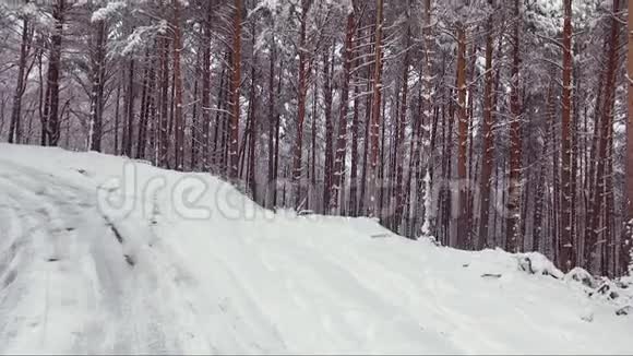 鸟瞰冬林雪树枝冬季景观森林树木覆盖霜雪空中飞行视频的预览图