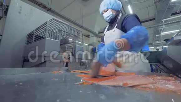 新鲜鲑鱼干的分拣过程鱼厂视频的预览图