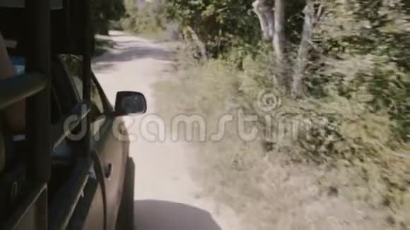 年轻快乐的微笑旅游妇女享受着令人兴奋的旅行车沿着斯里兰卡的野生阳光森林行驶视频的预览图