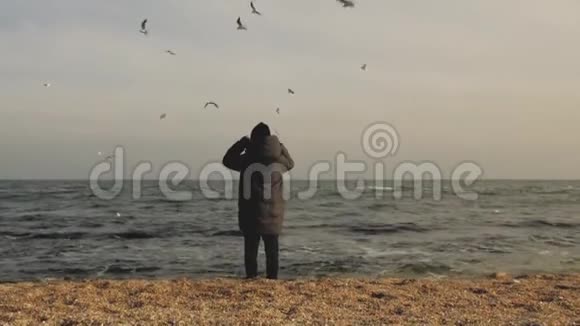 一个穿着外套戴着帽子的女孩站在海边飞翔的海鸥中视频的预览图