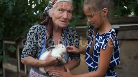祖母小心翼翼地把手交给一只白兔的孙女女孩小心翼翼地拥抱动物夏季视频的预览图