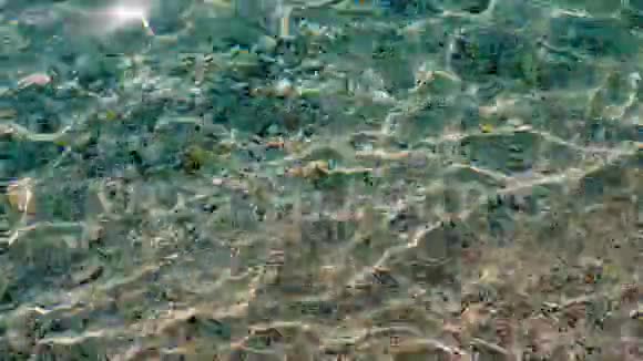特写镜头在爱琴海清澈的水面下可以看到小的多色鹅卵石阳光光线反射视频的预览图