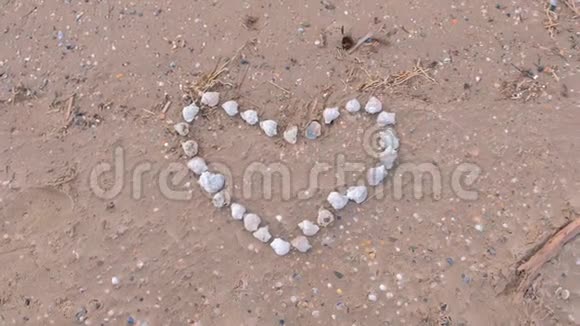 从沙滩和沙滩上的贝壳中提取心脏视频的预览图