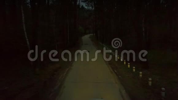 从无人驾驶白车向后看车灯在穿过绿色森林的夜间道路上行驶视频的预览图