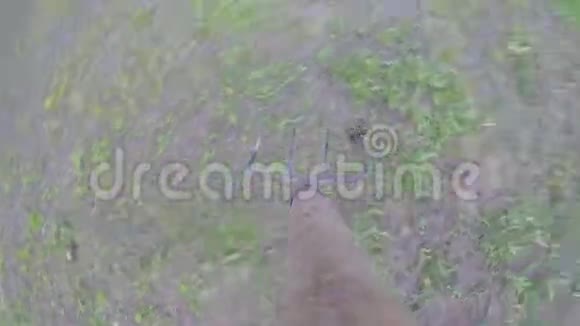 乡村生活燃烧干草花园工具家禽乡村生活哥普罗4千克视频的预览图