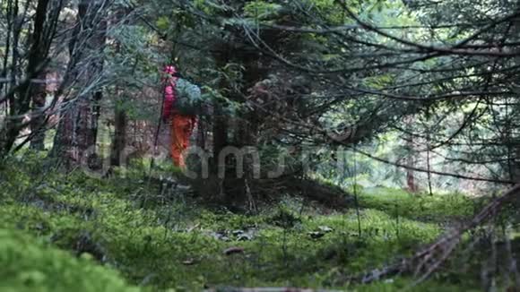 一位女游客在茂密的绿色森林中视频的预览图