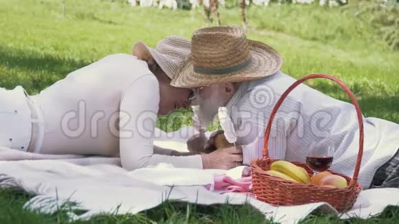可爱的老夫妇在绿茵草地的毯子上放松视频的预览图