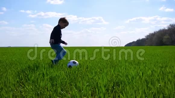 一个快乐的孩子快乐地踢足球慢悠悠地跑过草地视频的预览图