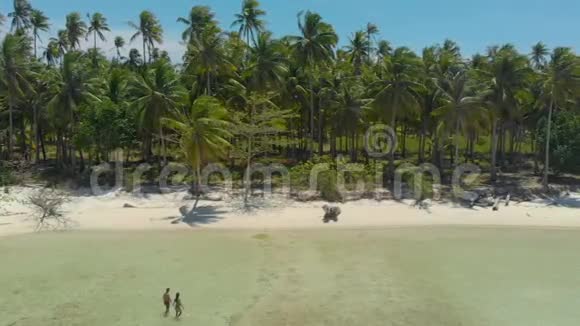 热带海岸白色沙滩绿松石水和棕榈树中间旅行夫妇的鸟瞰图视频的预览图