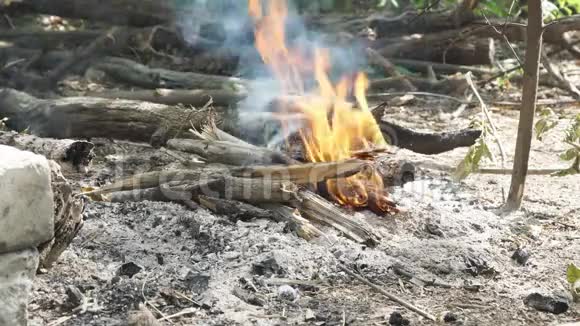 柴火被烟熏然后在篝火中点燃视频的预览图