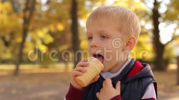 小可爱4岁的男孩在秋天公园吃冰淇淋在日落特写视频的预览图