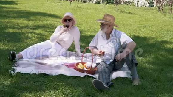 成年男子与老年妇女在公园的毯子上放松视频的预览图