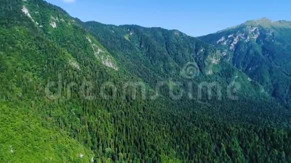 高山峡谷中的全景覆盖着废弃的绿色森林关系国家公园保留阿布哈兹视频的预览图