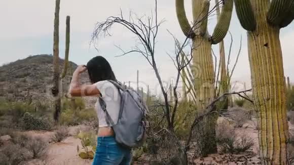 慢动作年轻快乐的女游客带着背包在美国国家公园探索不可思议的巨大仙人掌沙漠视频的预览图