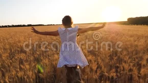 孩子们在一个领域扮演超级英雄快乐的小女孩正在一片成熟的麦子里飞翔在夕阳的背景下慢慢慢慢视频的预览图