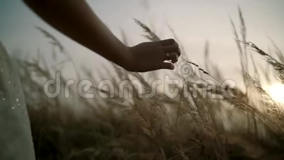 夕阳上的女孩在花田上的草地上抚摸着手慢动作视频的预览图