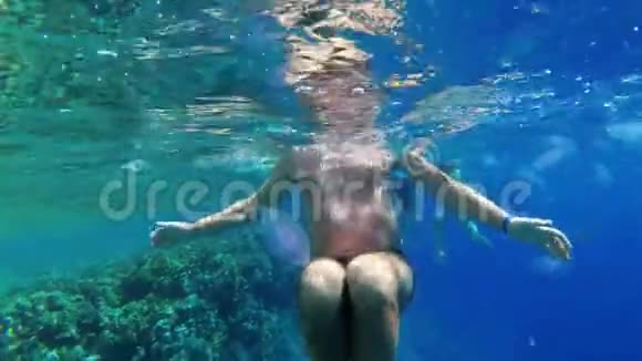 一位老人在红海清澈的水中游泳的水下景色埃及视频的预览图