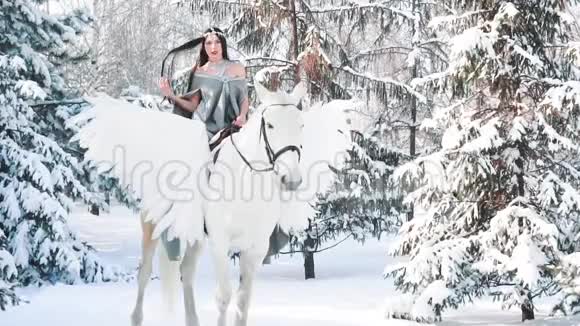 迷人的女孩坐在华丽的白马与翅膀冬天白雪皑皑的帕伽索斯上美丽的黑发公主视频的预览图