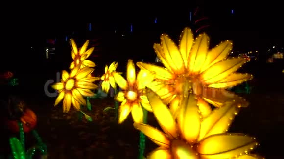 中国黄纸在夜间公园装饰视频的预览图