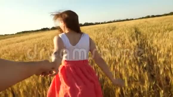 恋爱中的情侣牵着手跑过田野美丽的姑娘手里拿着一个心爱的男人手里拿着一块麦子走在田野上视频的预览图