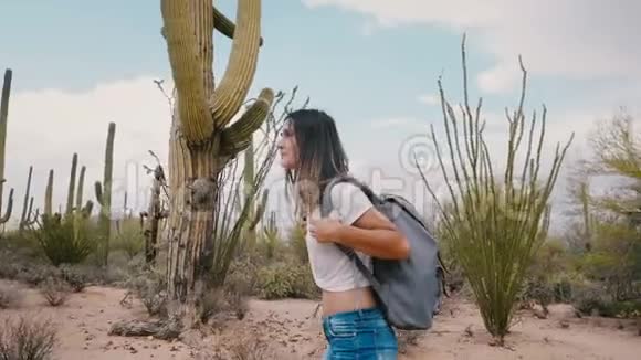 慢动作年轻快乐微笑的旅游妇女背包探索大气仙人掌沙漠在美国国家公园视频的预览图