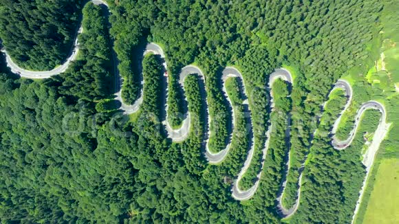 在一条蜿蜒曲折的蛇形柏油路上在一片绿色的森林里飞驰着过往的汽车空中无人机视野视频的预览图