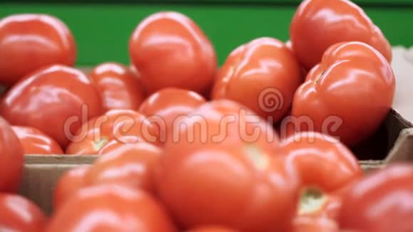 成熟番茄上市柜台特写选择性聚焦买熟菜丰收视频的预览图