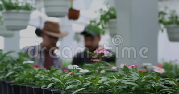 园丁为盆栽植物拍照视频的预览图