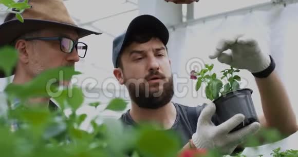 园丁为盆栽植物拍照视频的预览图