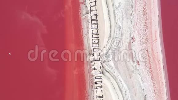 水中毒红湖白色有毒物质视频的预览图