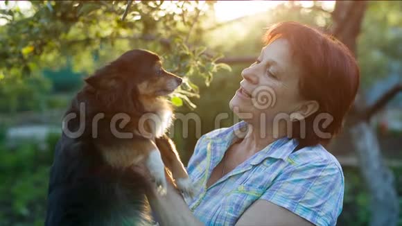 狗舔情妇视频的预览图