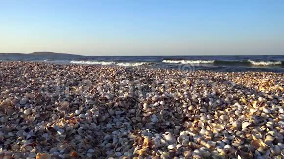 夏季傍晚日落时大海的巨浪冲刷着沙滩上的贝壳视频的预览图