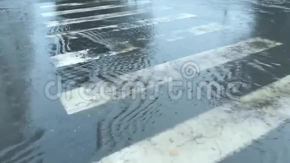 暴雨期间水通过行人过马路恶劣危险的交通条件雨水视频的预览图