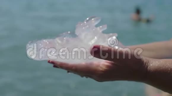 手中的大水母逆着大海视频的预览图