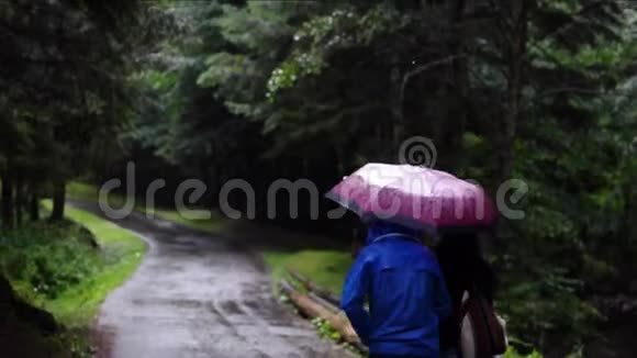 两个伞下的女人在森林里散步视频的预览图