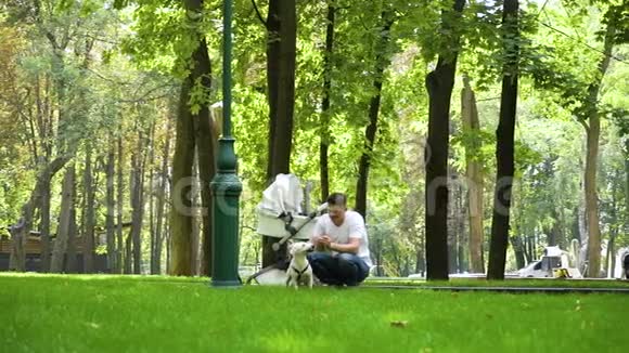 年轻的父亲在公园玩狗杰克罗素梗视频的预览图