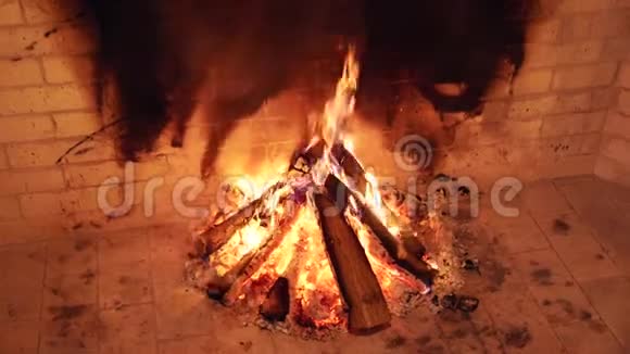 壁炉里燃烧着的密林视频的预览图