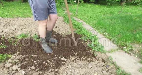在一个小花园里挖掘土地供私人供应天然食物土壤采用预拌堆肥视频的预览图