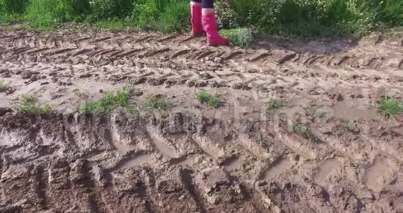在框架的上部女孩用粉红色的靴子在田野路附近采摘野花视频的预览图