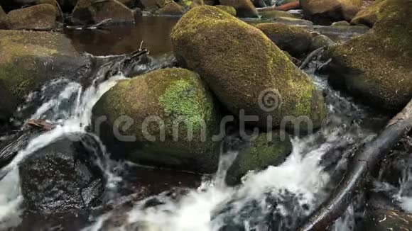 英国山顶区苔藓岩石上瀑布小森林溪流的超慢运动视频的预览图