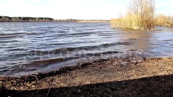 春天在一条深河上浪视频的预览图