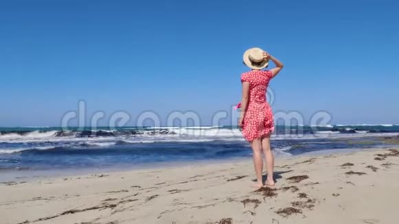 年轻迷人的女人拿着她的帽子而红色的裙子正在大风中拍打她站在空荡荡的海滩上看着拖视频的预览图